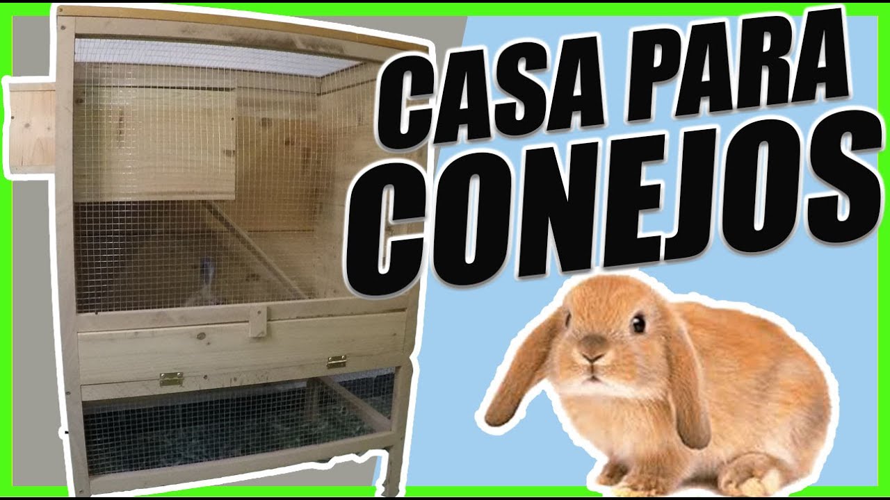 Como hacer jaulas para conejos