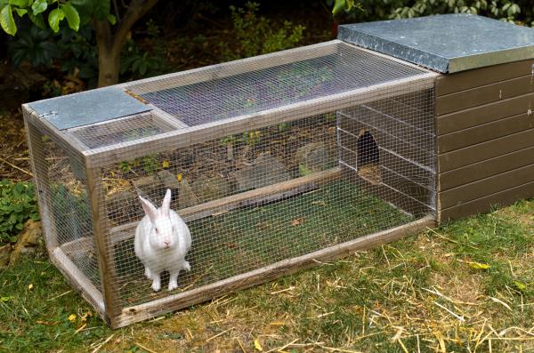 como-hacer-una-jaula-para-conejos