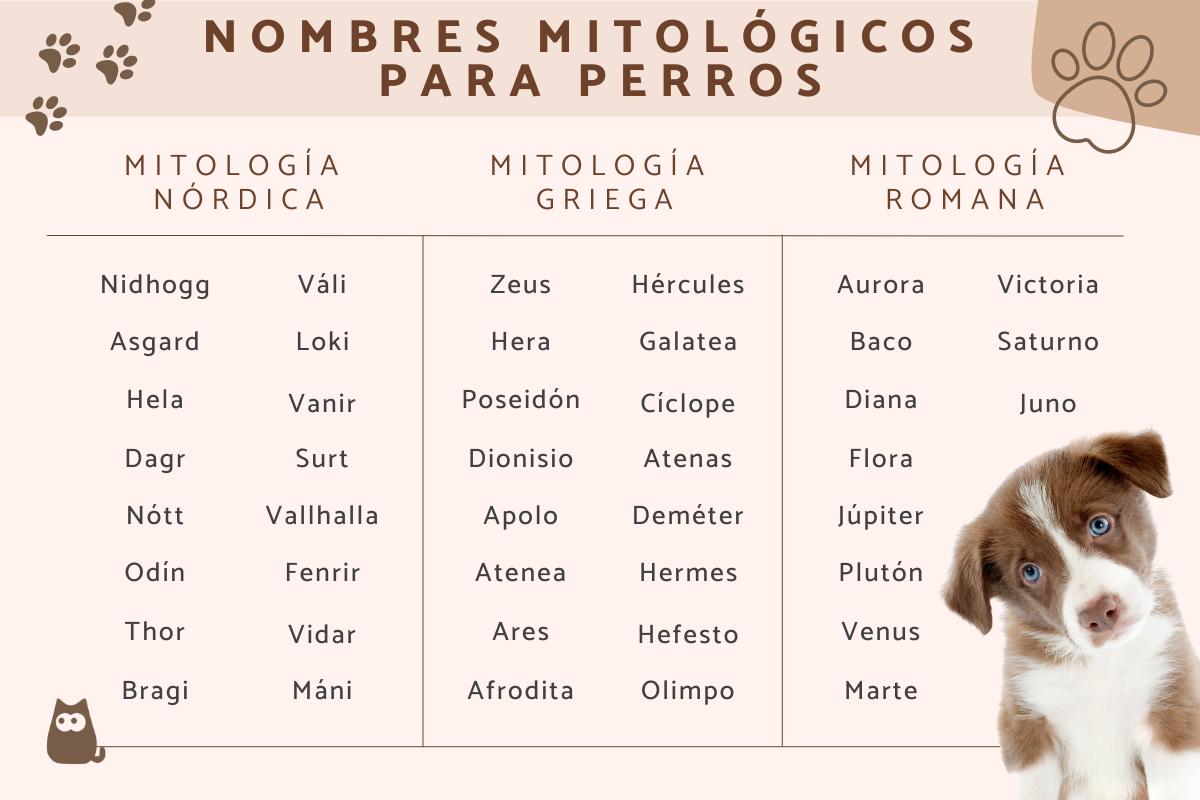 ▷ Nombres mitológicos para perros🐕 ¡Geniales!