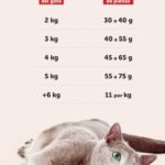 ¿¿Cuánta comida se le da a un gato?