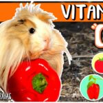 Alimentos Ricos en Vitamina C para Cuyos: Descubre Cómo Mejorar la Salud de tu Cuyo con Estos Alimentos