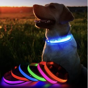 Collar luminoso perro