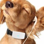 Collar GPS perros