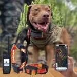 Collar GPS perros caza